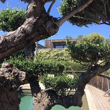 La Poussada, Maisons Ecologiques Avec Vue Mer La Palme Exterior foto