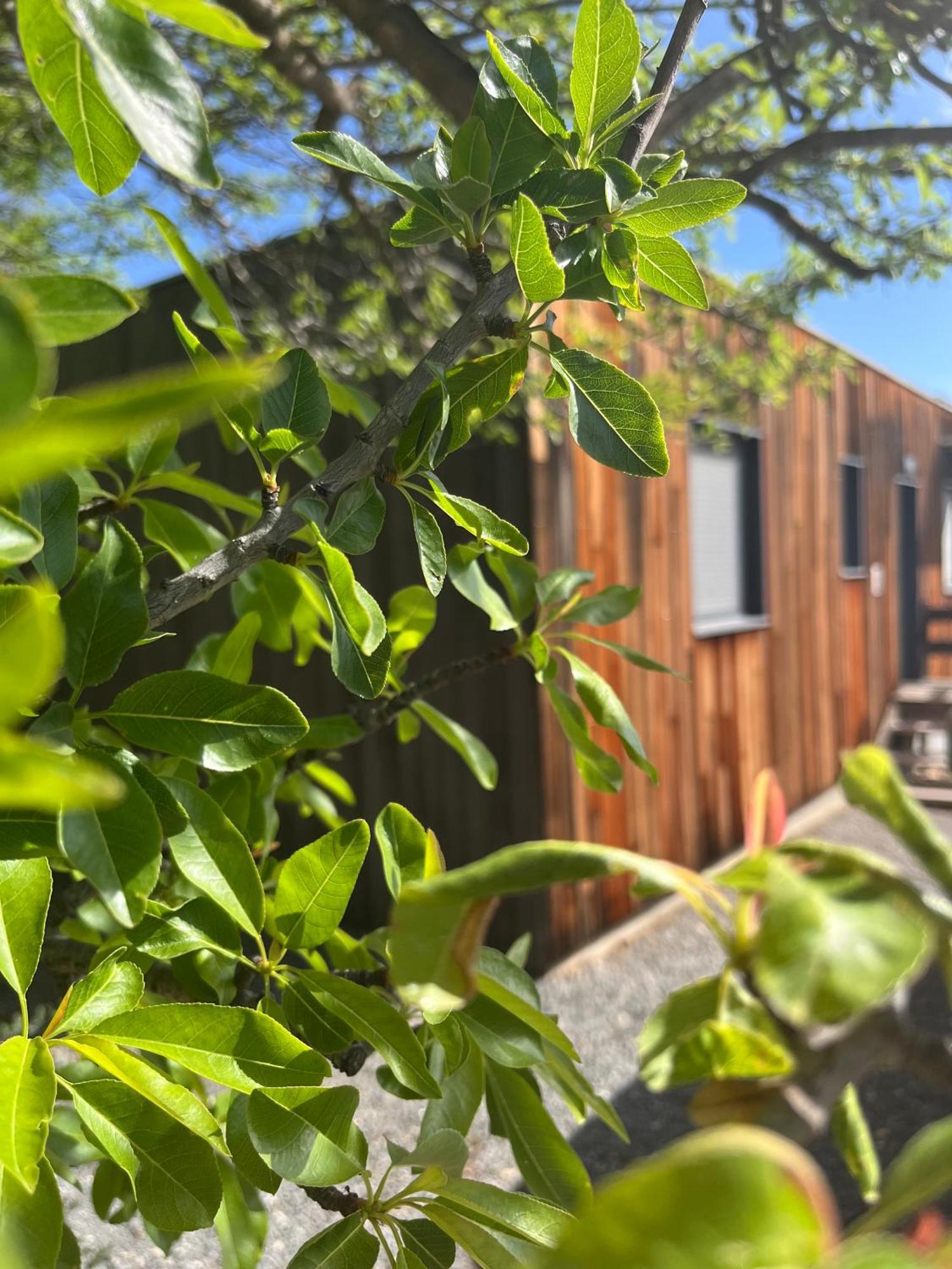 Ferienhaus La Poussada, Maisons Ecologiques Avec Vue *