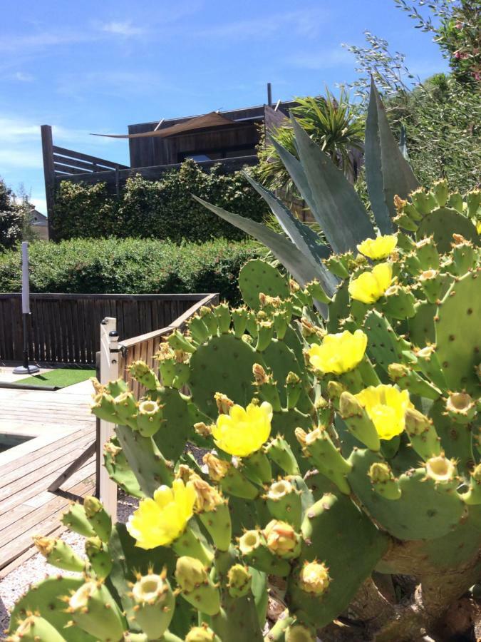 Ferienhaus La Poussada, Maisons Ecologiques Avec Vue La Palme